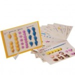 Beginners Kits